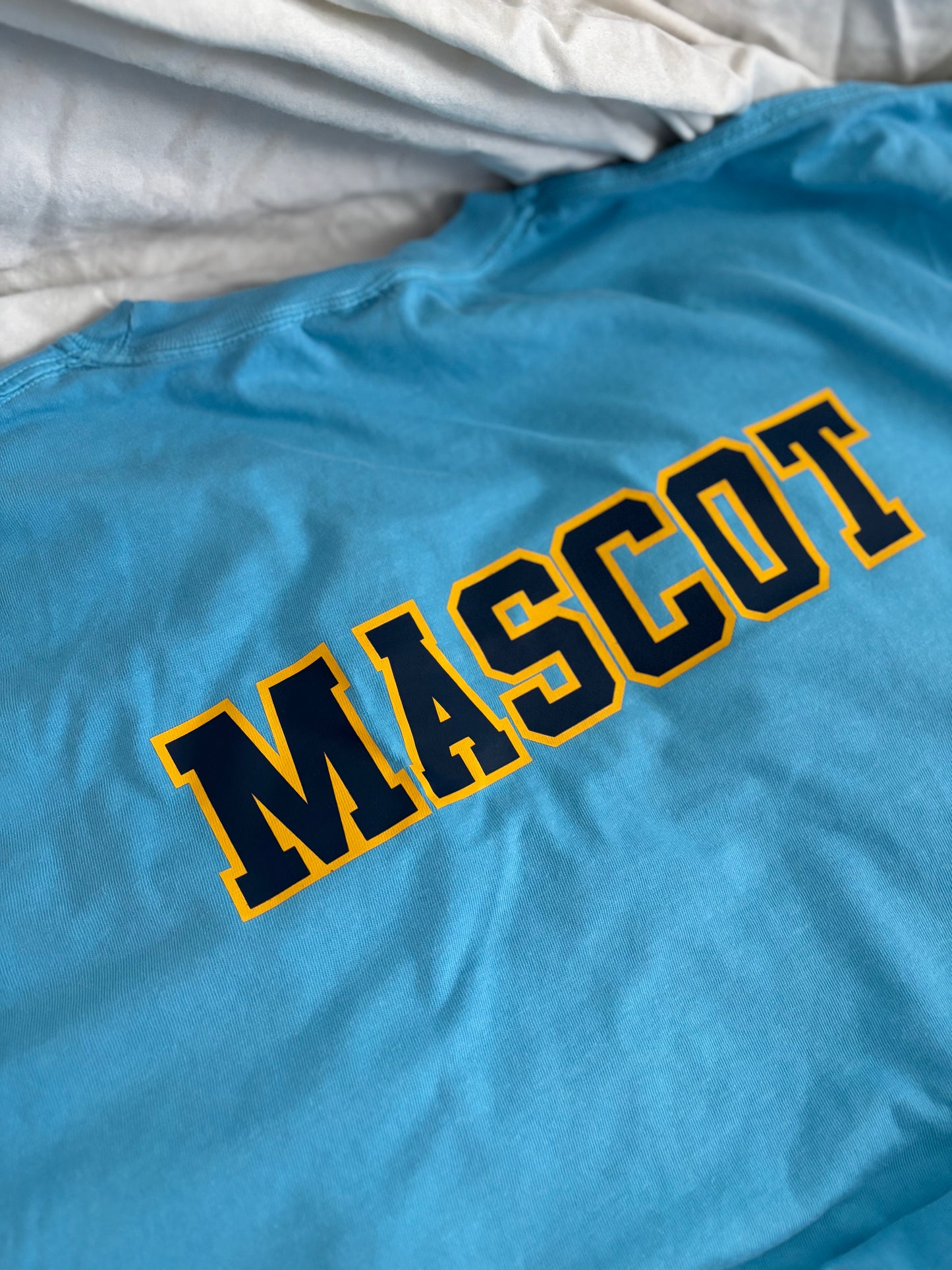 'Philly Sillys' Embroidered Tee w/ Customizable Back | K. Iwancio Merch