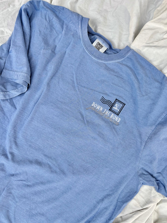 'Down The Bond Postal Service' - Multiple Embroidered Options (Licensed ACOTAR Collection)